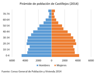 Pirámide de población de Castillejos (2014)