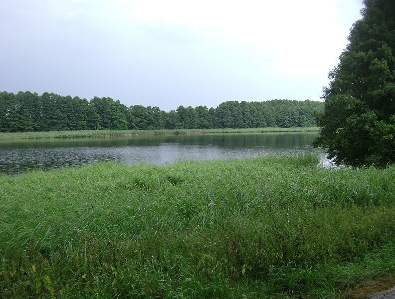 File:Poland. Gmina Jedwabno. Brajnickie Lake 007.JPG