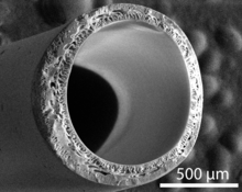 SEM cross-section of a polysulfone hollow fiber membrane fabricated by nonsolvent-induced phase separation. Polysulfone hollow fiber membrane SEM cross-section.png