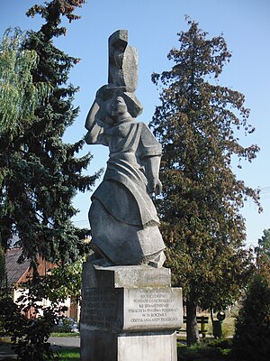 Ostrów Mazowiecka: Położenie, Struktura powierzchni, Historia