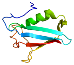 Ақуыз NSFL1C PDB 1i42.png