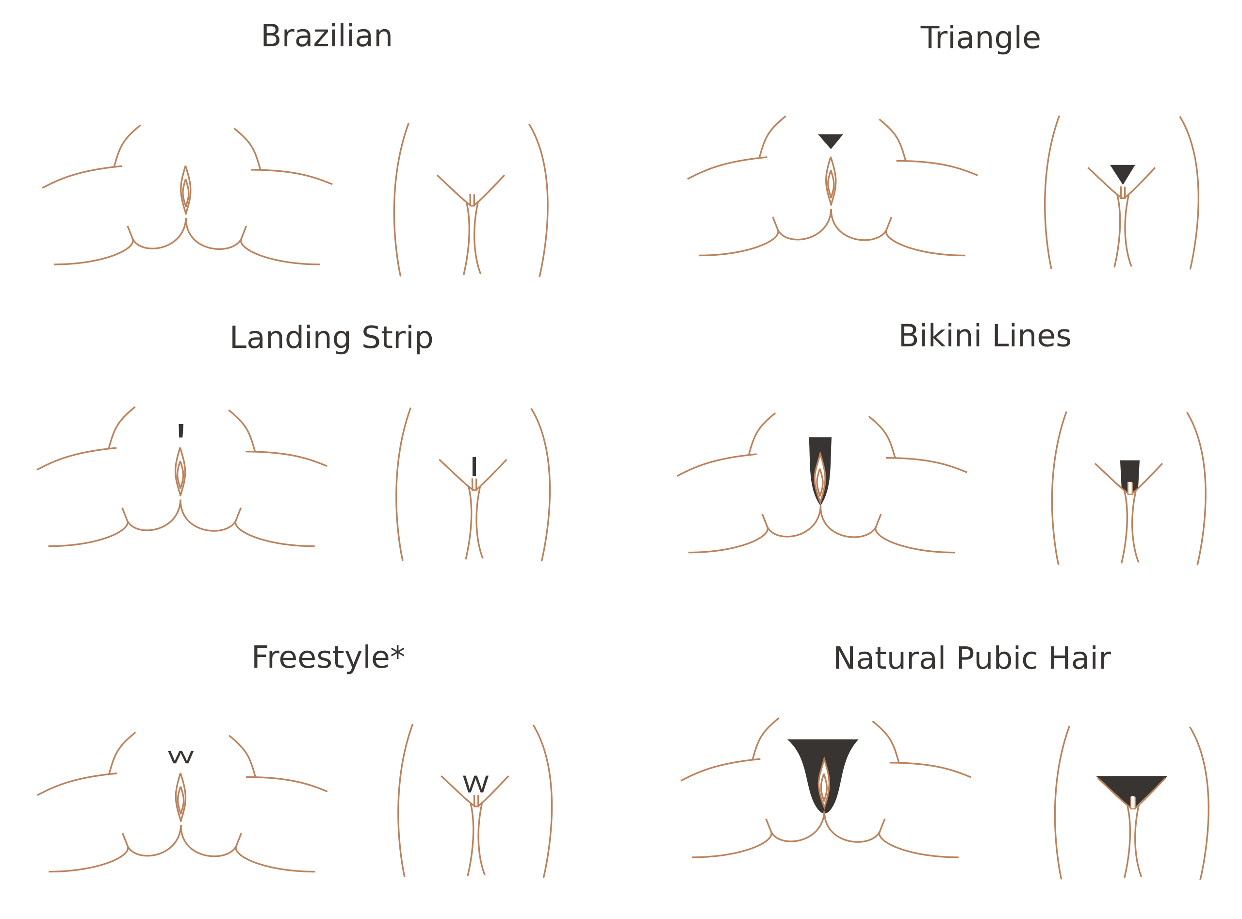 File:Pubic hair styles.svg - Wikimedia Commons.