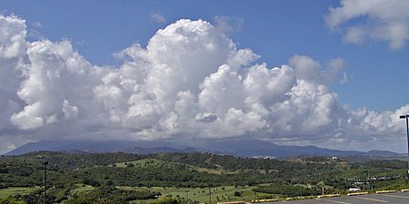 Puerto Rico El Yunque 1.jpg