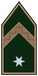 Rank Army Hungary OR-05.svg