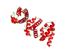 RecQ helicase RecQ helicase.png