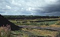 Recolonisation of fen peat cutting. Somerset 1979 (38281547162).jpg