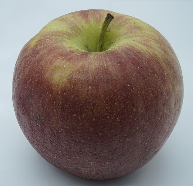 File:Red Delicious Apple 2021.jpg