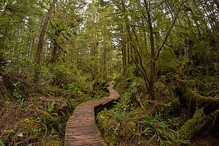 Maquinna Marine Provincial Park and Protected Area Provincial park on Vancouver Island in British Columbia, Canada