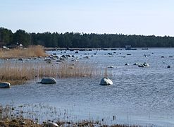 Sandrevleoddens naturreservat 2015e.jpg