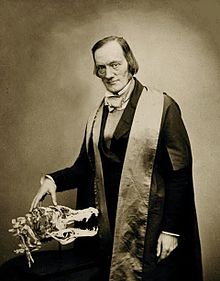 Richard Owen 1856.jpg