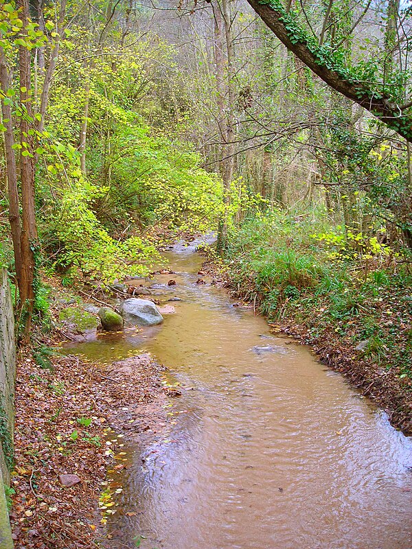 Riera d'Arbúcies