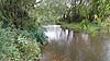 Fluss Roding in Roding Valley Meadows