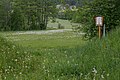* Nomination Gierer meadows, Upper Austrian nature reserve, Roßleithen --Isiwal 05:03, 28 July 2021 (UTC) * Promotion  Support Good quality. --Ermell 05:47, 28 July 2021 (UTC)