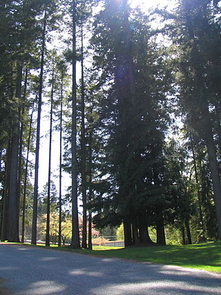 <span class="mw-page-title-main">Robert Burnaby Park</span> Public park in East Burnaby, Canada