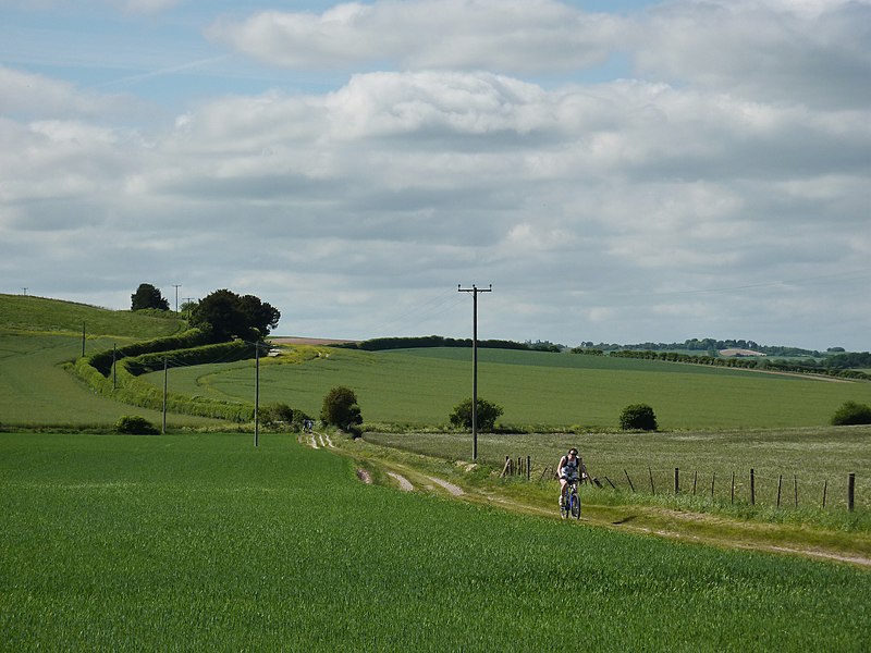 File:Rolling Trail near Farley Mount - panoramio.jpg