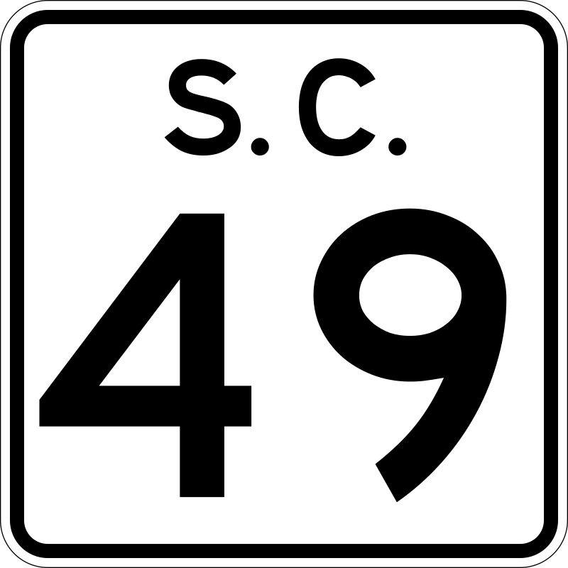 Число 49