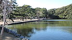 Rybník Sakuraga a svatyně Ikemiya.JPG
