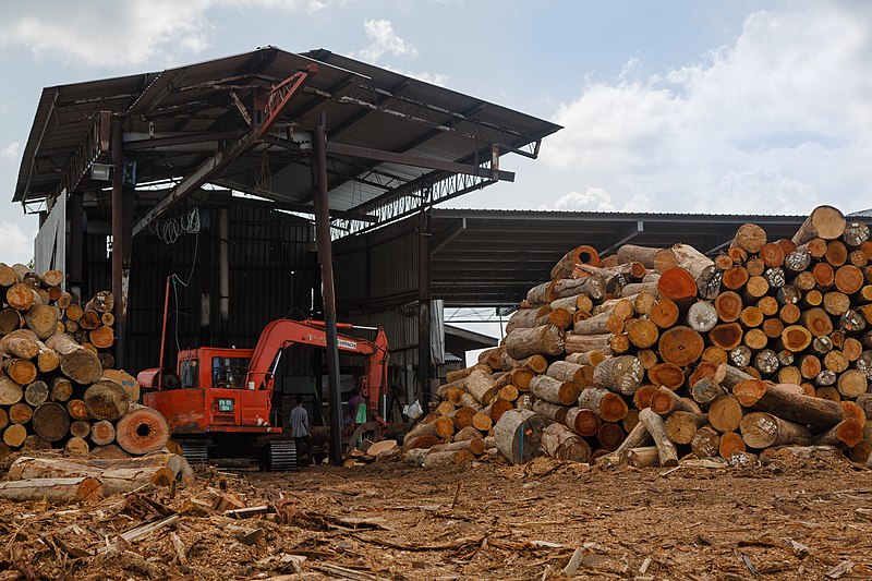 File:Sandakan Sabah Plywood-Factory-12a.jpg