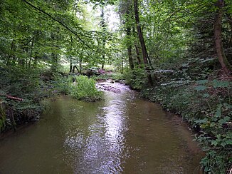 Die Scherzach im Lauratal