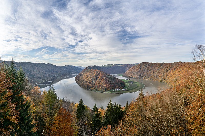 File:Schlögener Schlinge, Gesamtansicht vom Schlögener Blick 01.jpg