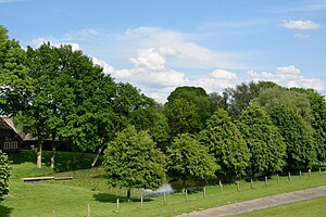 Schleswig-Holstein, Kollmar, Naturdenkmal NIK 6315.JPG