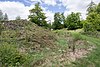 Schwalenburg Remains of the middle wall2.jpg