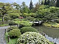 Seattle Japanese Garden