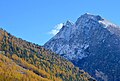 Seehorn, Walliser Alpen