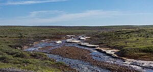 Siberian tundra 05.jpg