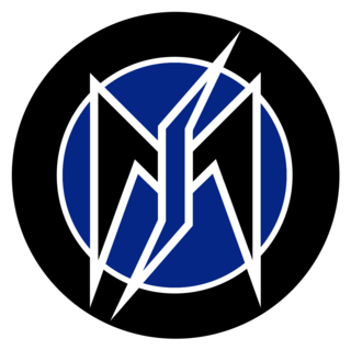 <span class="mw-page-title-main">Blue-and-Blacks</span> Former far-right political organization in Finland