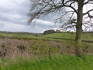 <span class="mw-page-title-main">Ravensdale Park</span> Human settlement in England