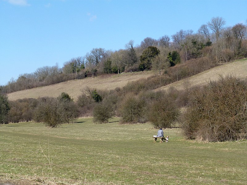 File:Sitting With The Dog - geograph.org.uk - 3399944.jpg