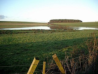 <span class="mw-page-title-main">Lochlea, South Ayrshire</span> Drained freshwater loch in South Ayrshire, Scotland