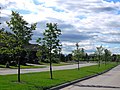 Southlands Drive - panoramio.jpg
