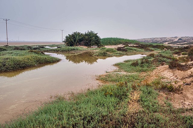 Natural spring of Qulmat Al Maszhabiya in Al Mashabiya Reserve, next to Abu Samra.