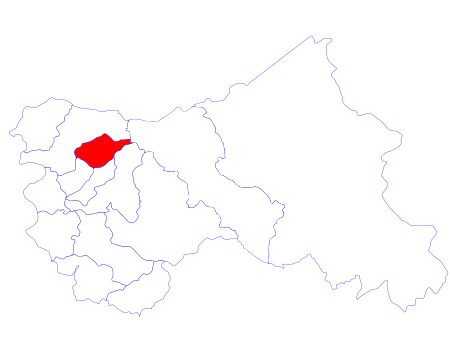 Srinagar (huyện)