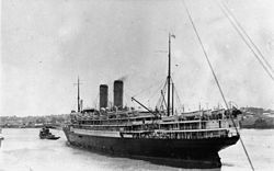 StateLibQld 1 114380 Orsova (ship) .jpg