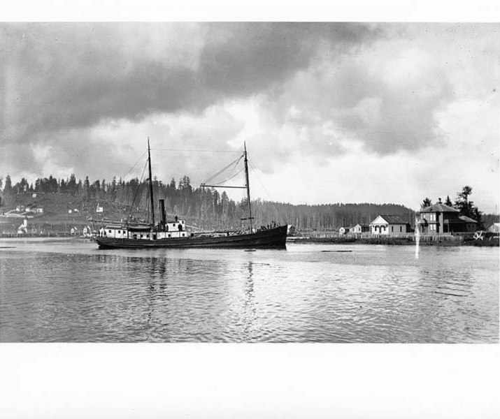 File:Steam schooner POINT LOMA in the Hoquiam River, 1893 (TRANSPORT 565).jpg