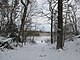 Stearns Pond, Harold Parker State Forest, North Andover MA.jpg