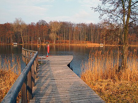 Steg in Gadebusch Burgsee panoramio