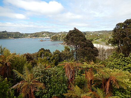 Halfmoon Bay from Moturau Moana Native Gardens.