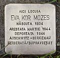 Stumbling block for Eva Kor Mozes.JPG