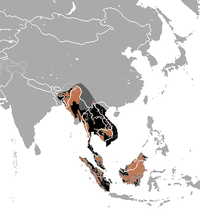 malay ayigʻining tarqalish hududi (2010)\n  Hozirda mavjud\n  Avval yashagan\n  Mavjudligi taxmin qilinadi