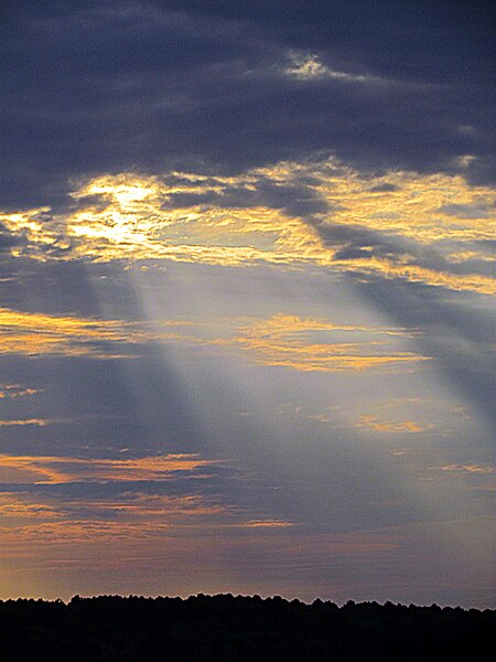 File:Sun Rising Parkers Creek Jordan Lake NC SP 3807 (36009127911).jpg