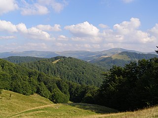 <span class="mw-page-title-main">Svydovets</span> Mountain range in Ukraine