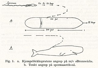 #106 (1930–1933) Arne Grønningsæter's sketch of his supposed encounter with a giant squid in the open ocean between Hawaii and Samoa in 1930–1933 (Grønningsæter, 1946:380, fig. 1). The animal was observed swimming at 20–25 kn (37–46 km/h) alongside a 15,000-ton freighter before turning towards the ship, colliding with the hull, skidding along it, and being ground to pieces by the propeller.