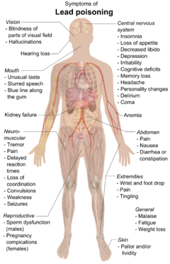 Схема человеческого тела со стрелками, указывающими фрагменты текста на разные части тела