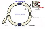 Vignette pour Synchrotron