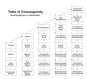 One legal definition of degrees of consanguinity. The number next to each box in the table indicates the degree of relationship relative to the given person. Table of Consanguinity showing degrees of relationship.svg