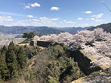 桜が満開の竹田城（兵庫県朝来市）